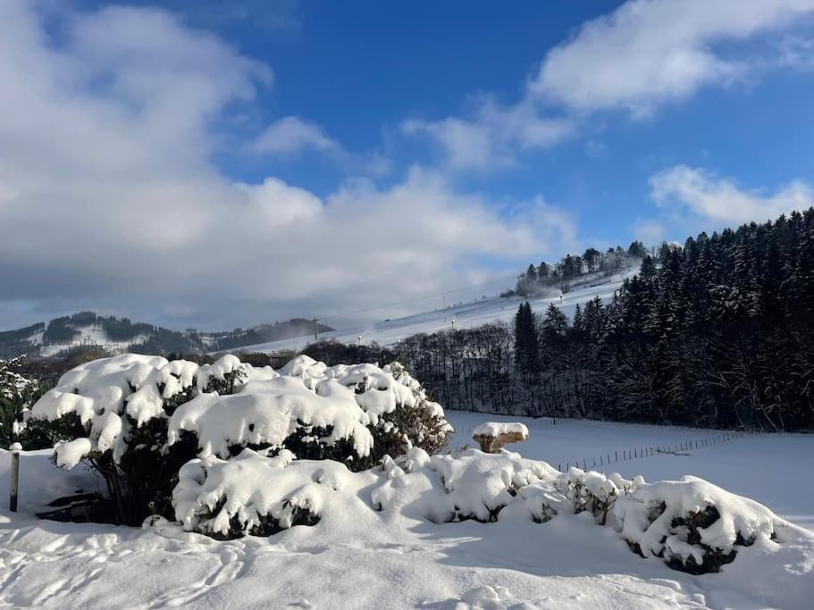 Haus Am Wald Willingen Daire Willingen  Dış mekan fotoğraf